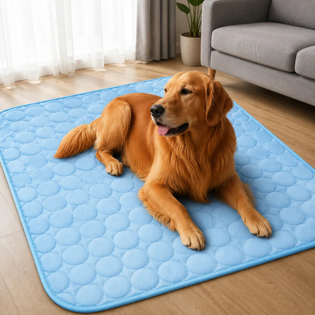 Cooling Pet Mat | Keep Your Dog & Cat Cool All Summer