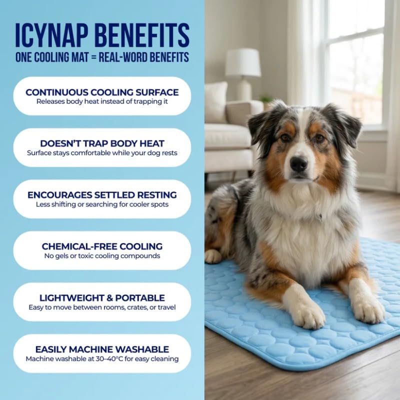 Cooling Pet Mat | Keep Your Dog & Cat Cool All Summer